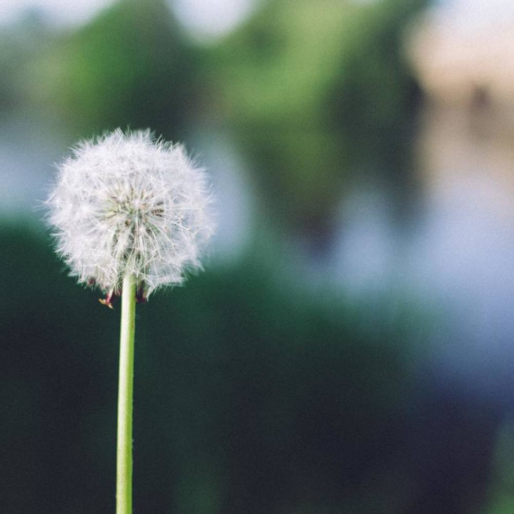Meet your Posher, Lynne